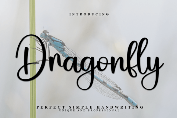 Discovering the Dragonfly Font: A Designer's Guide to Elegant Handwriting